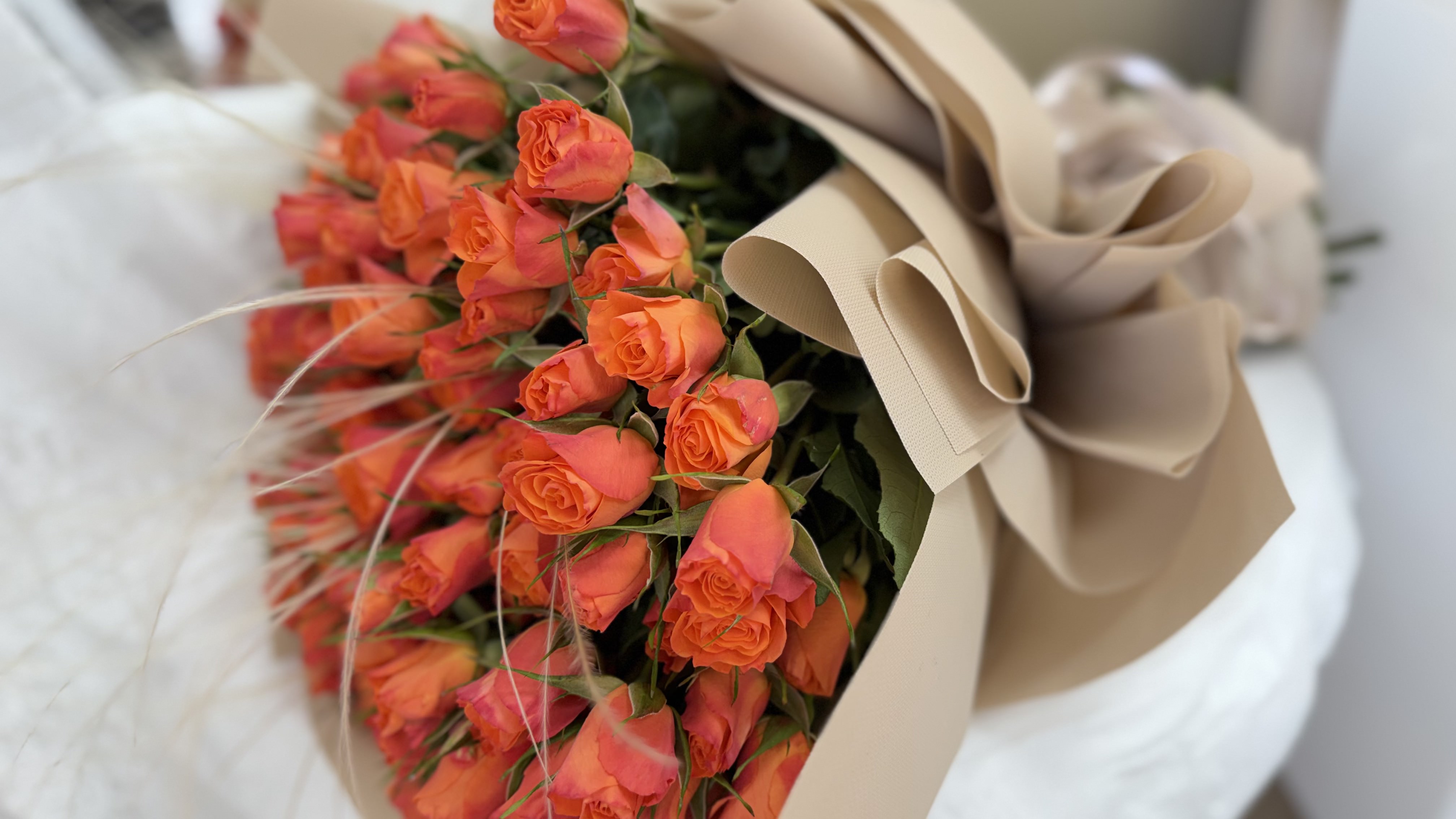 Spray Roses — view 1